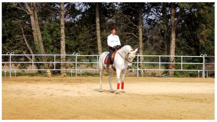 JADE dressage mars 2014