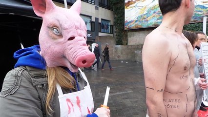 Lille : Cause animale Nord n’a pas froid aux yeux