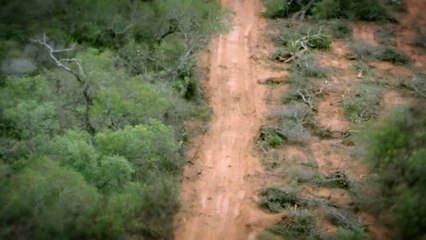 El Impenetrable, Documentaire de Daniele Incalcaterra & Fausta Quattrini - Extrait