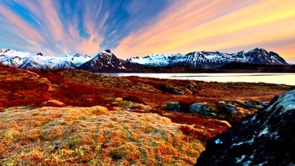 James Dymond - Adrastus