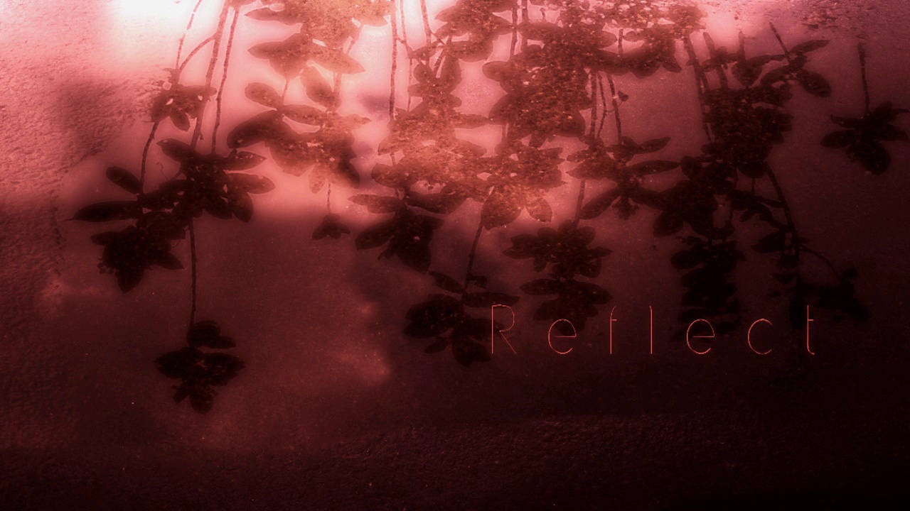 REFLECT