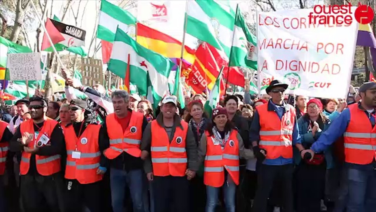 Espagne : les Indignés de retour en masse à Madrid