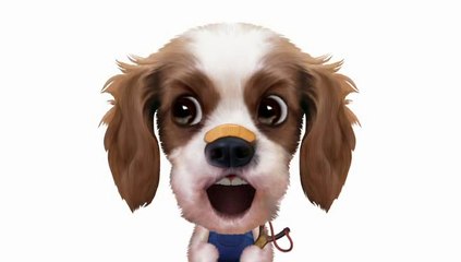 ♫ ♫ A Bicycle Built for Two ♫ ♫