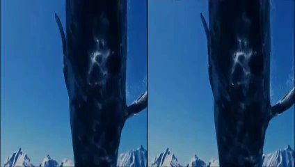 Clip -Spirit of the Sea - 3D trailer