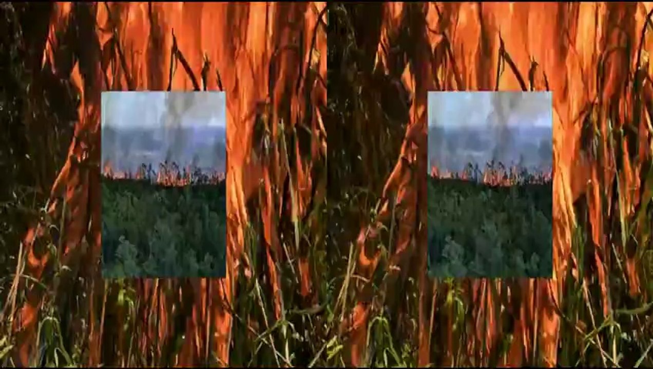 Clip -Alligator Kingdom - 3D trailer