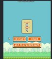 Playing Flappy Bird