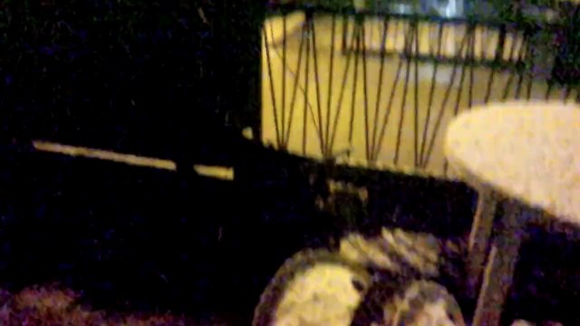 March 22 2014 - video blog, heavy snow falling at 5:00 am in the morning in my area of toronto canada