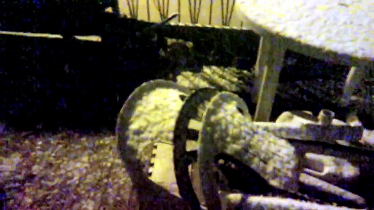 March 22 2014 - video blog, heavy snow falling at 5:00 am in the morning in my area of toronto canada