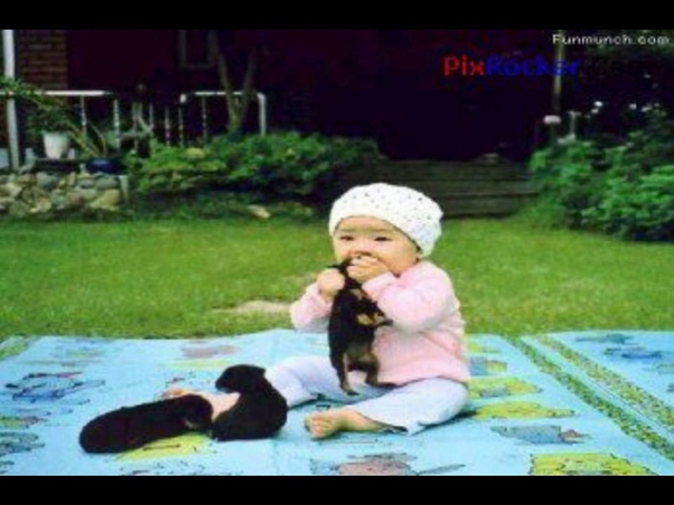 Funny and strange pictures :)