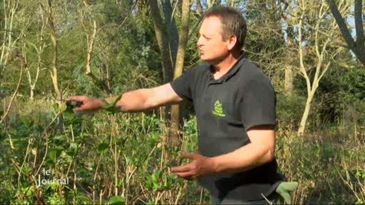 Beau temps : Les bons gestes pour son jardin (Vendée)