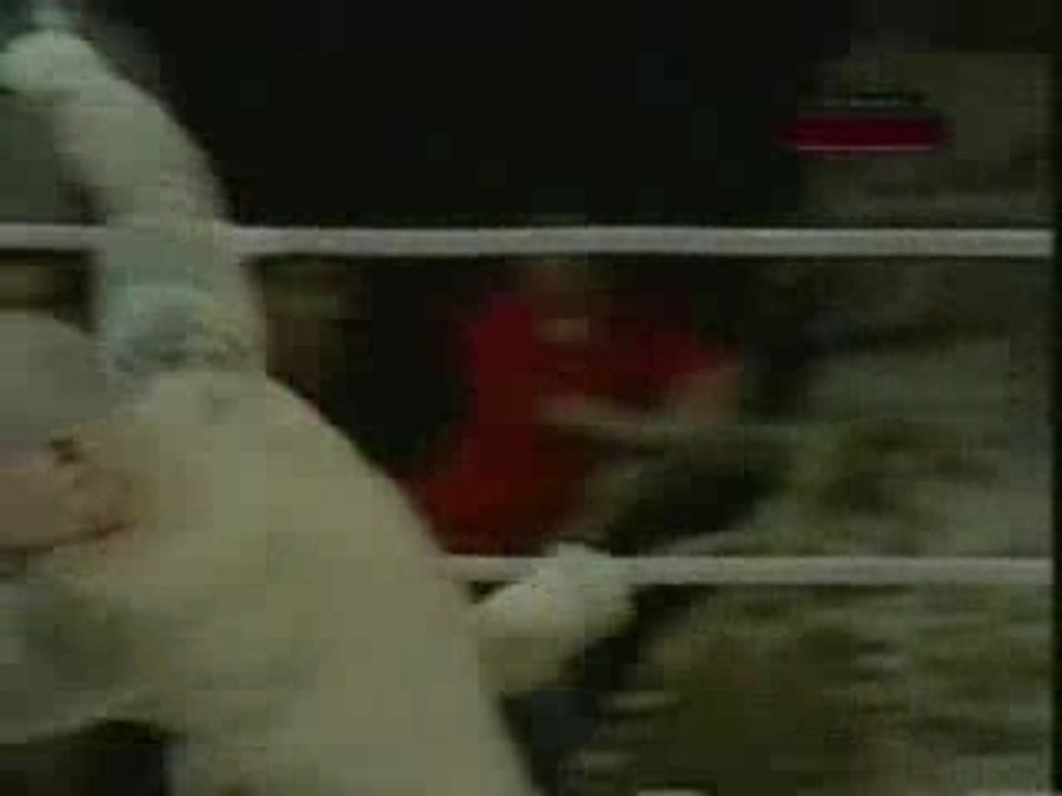 Evangelista Santos vs Michal Materla