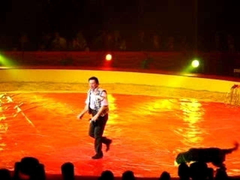 Kerstcircus Ahoy Rotterdam
