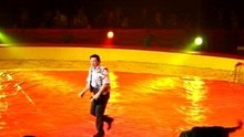 Kerstcircus Ahoy Rotterdam
