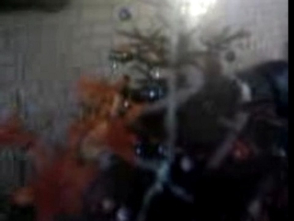 Vidéo 0027