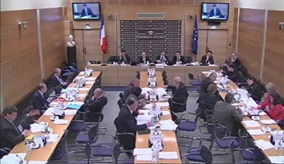 PPL USAGE LEGAL DE LA FORCE ARMEE - Mercredi 28 Novembre 2012