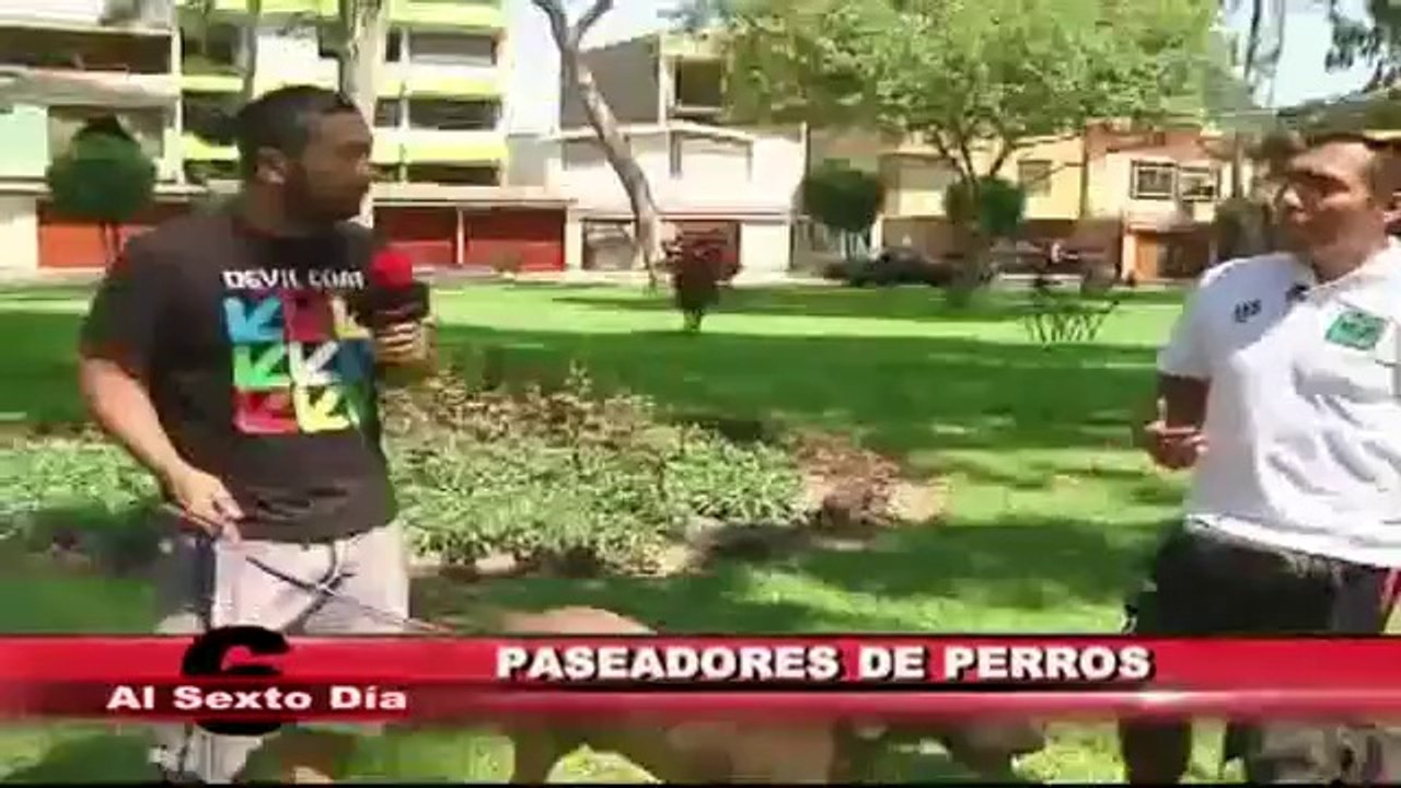 Paseadores de perros: un oficio que gana terreno en Lima