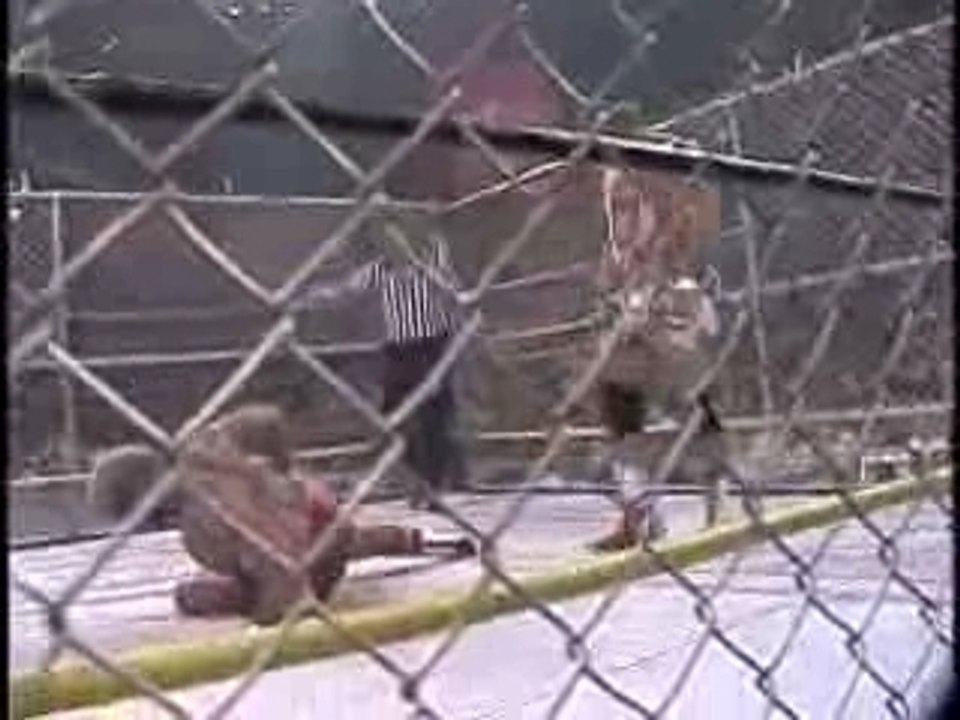 Rick Steiner/Hyatt vs Dangerously/Arn
