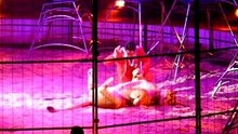 Kerstcircus Ahoy Rotterdam Alex Lacey