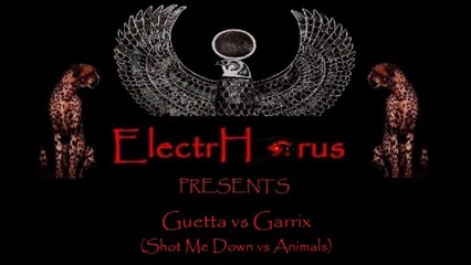 Bang Bang vs Animals (Guetta vs Garrix)