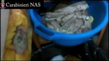 Catania - Operazione dei Nas sulla sicurezza alimentare (22.03.14)