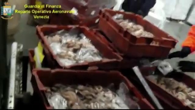 Venezia - Sequestro di pesce scaduto (22.03.14)