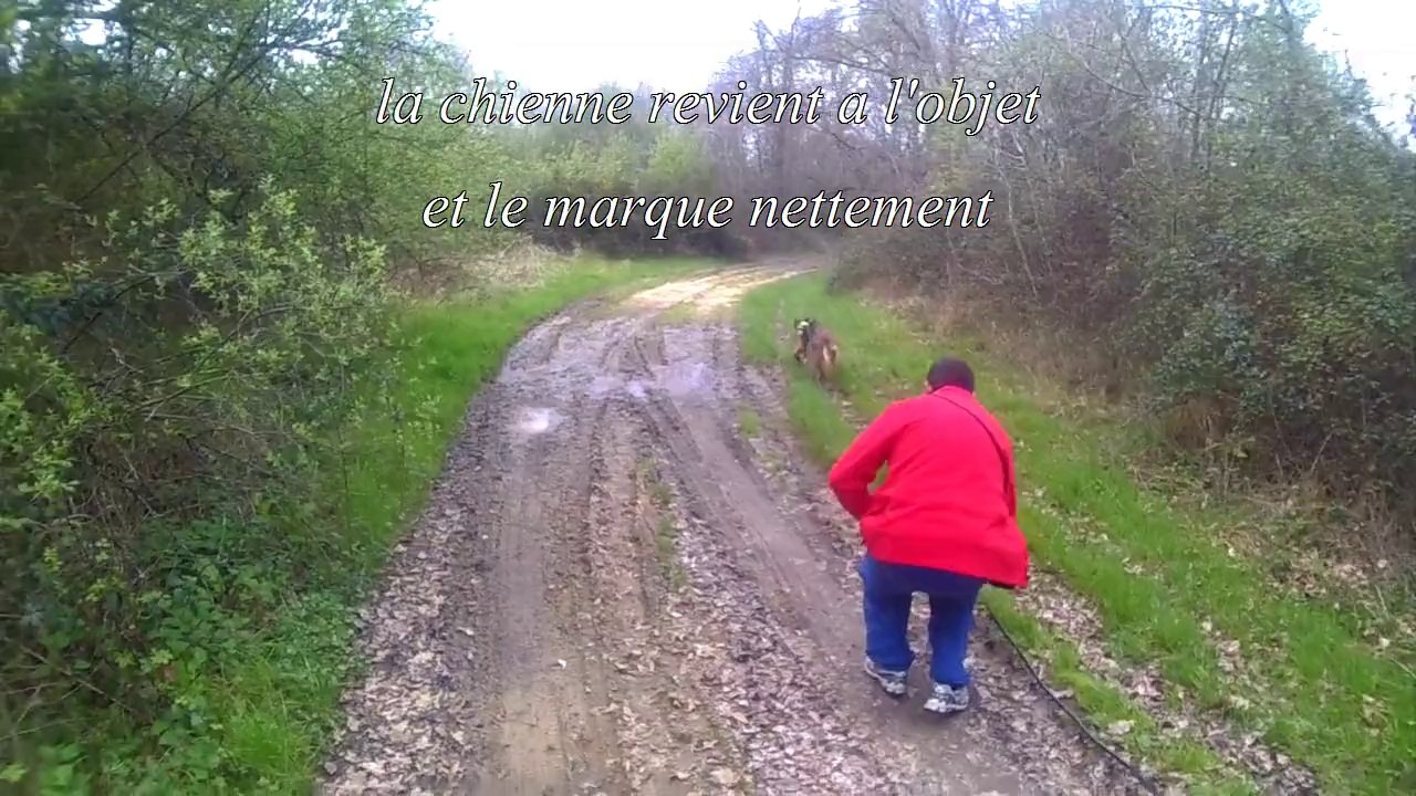 recherche utilitaire avec un Berger allemand eureka