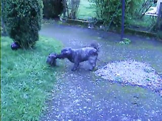 Chanel et Jaudy ce matin