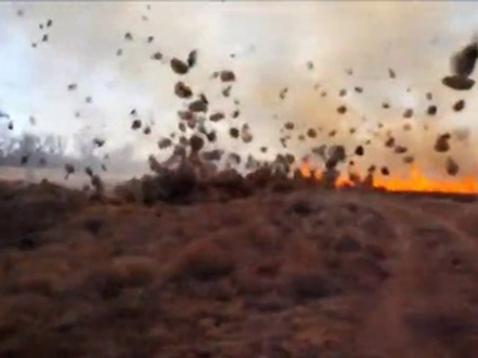 Pompier VS. Tornade de Feu... Impressionnant!