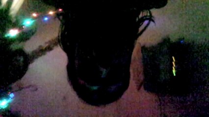 Saturday, 22 March 2014 - upside down video blog