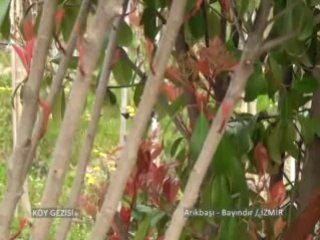 158. Bölüm Arıkbaşı Torbalı / İZMİR