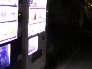 Taking my dog for a walk in the evening