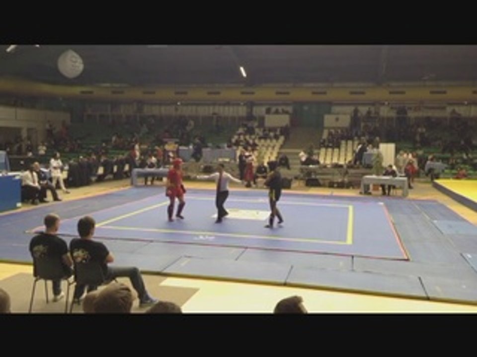 Championnat de France Sanda Toulouse 2014 Alexandra 1-1