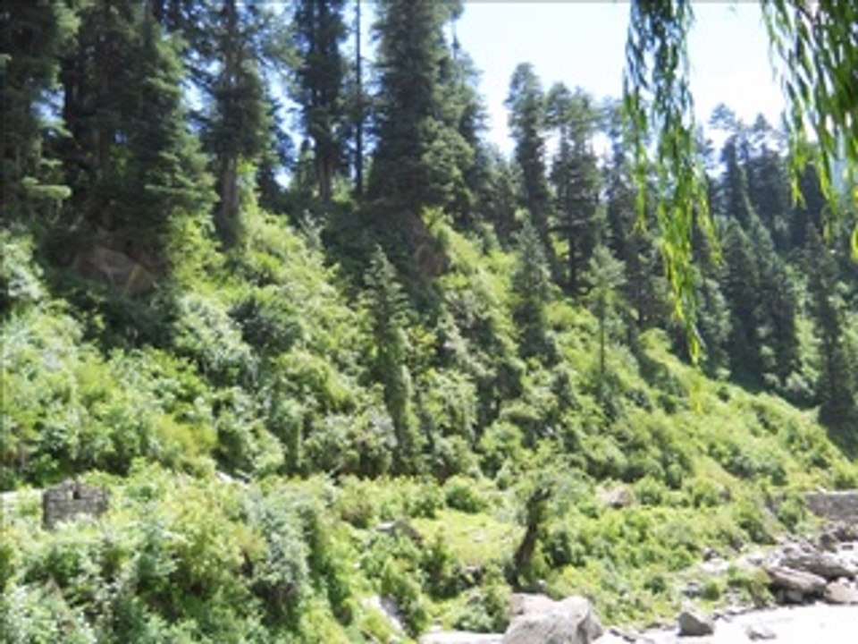 India 2011