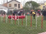 agility