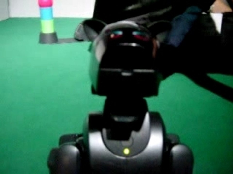 Chien robot qui fait le beau