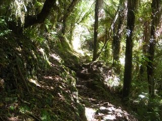 New Zealand South Island