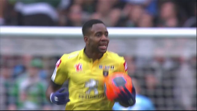 But Edouard BUTIN (66ème) - AS Saint-Etienne - FC Sochaux-Montbéliard - (3-1) - 23/03/14 - (ASSE-FCSM)