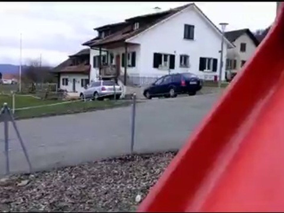 Désirée, une petite chienne joueuse