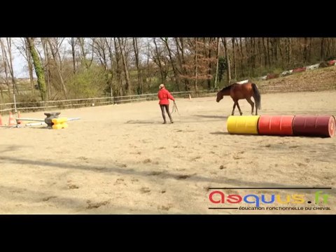 Etirements longitudinaux et gymnastique à l'obstacle