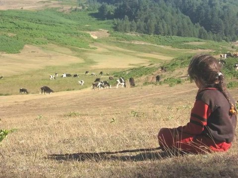 Grup İstanbullu - Sizin köydemi bizim köydemi(U.H)