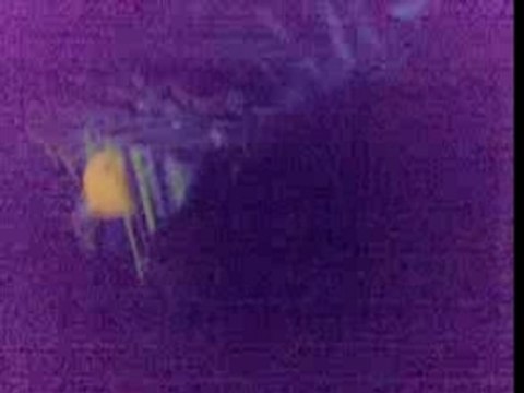 Colorado Adventure Onride NON CENSURE !!