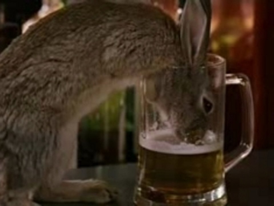 LE LIÈVRE DE VATANEN