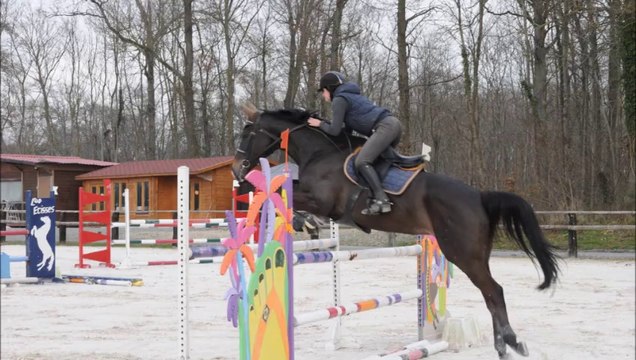 Roro - Entrainement 2