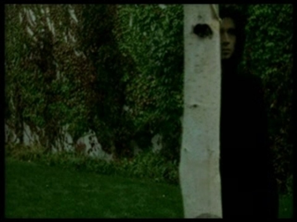 eyes / dolphin and stella