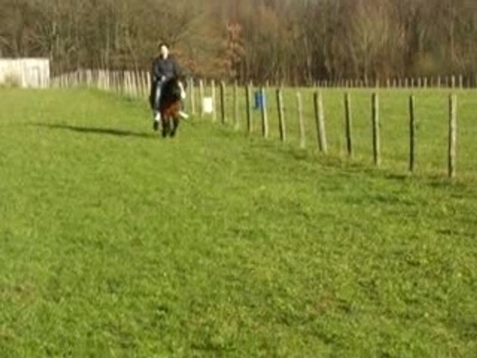 Emilie et Chita à la détente