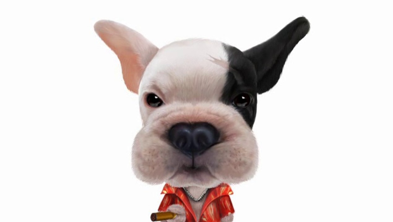 ♫ ♫ Animal Fair ♫ ♫