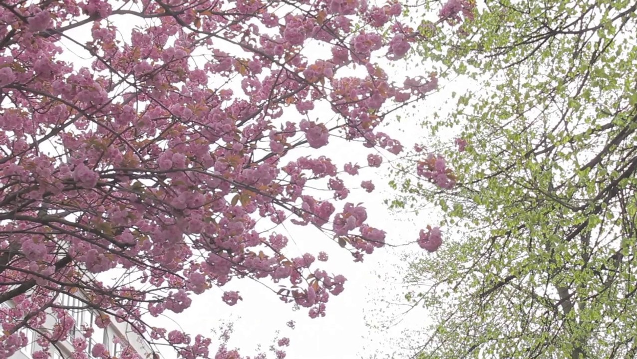 communiqué  technologie