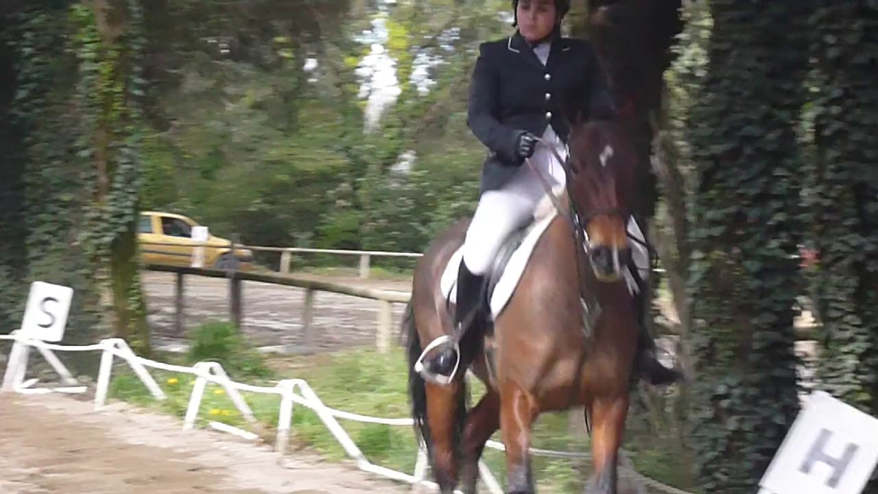 Dress CCE Vedene Club 2 Samedi du 23/03/2014