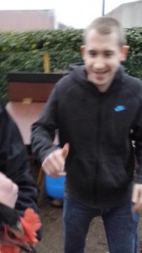 alfie and bothered still chasing chickens