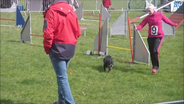 Vodka Concours du Lion d'Angers 2014-03-23